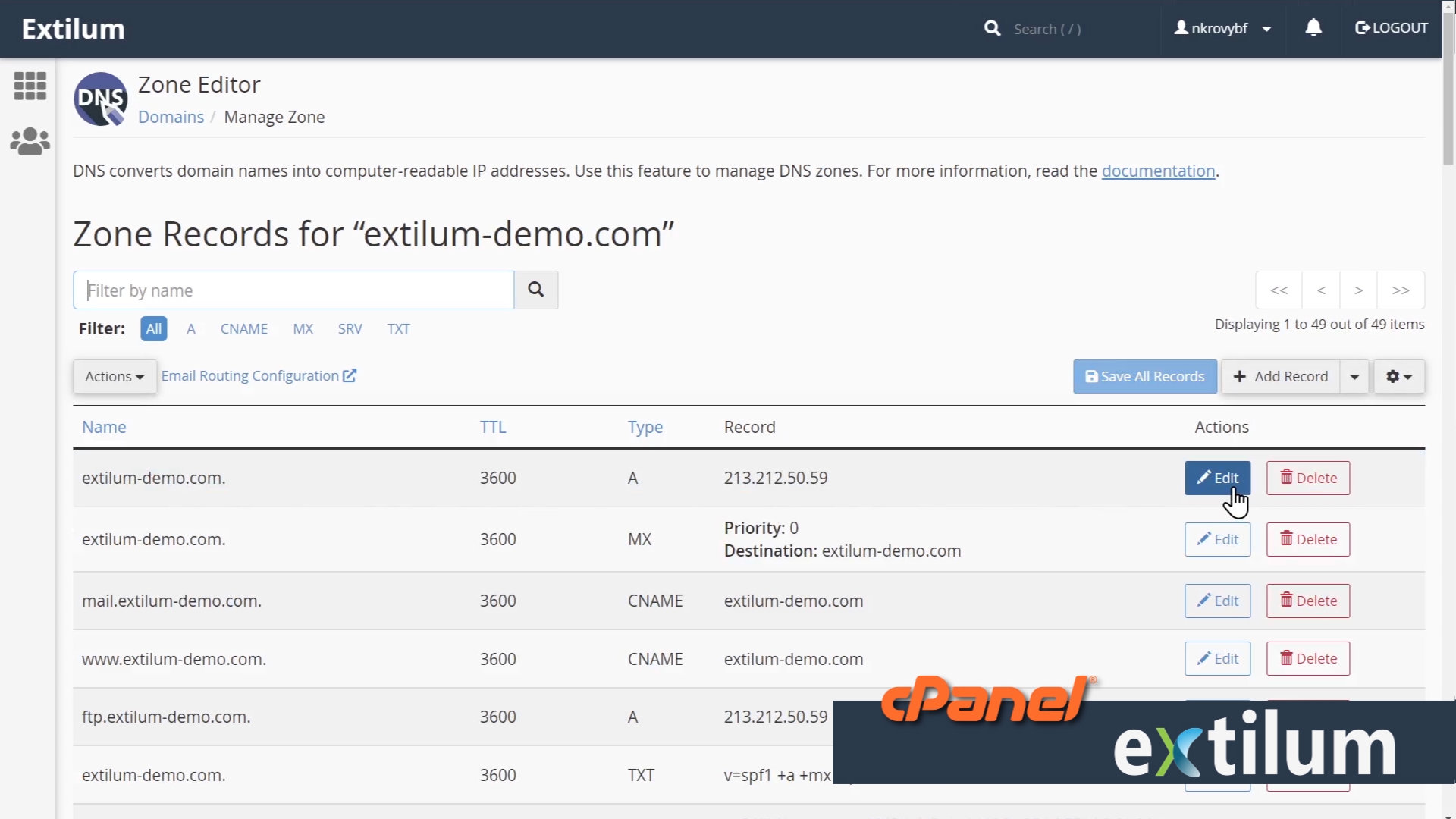 Extilum cPanel - Domain - Zone Editor