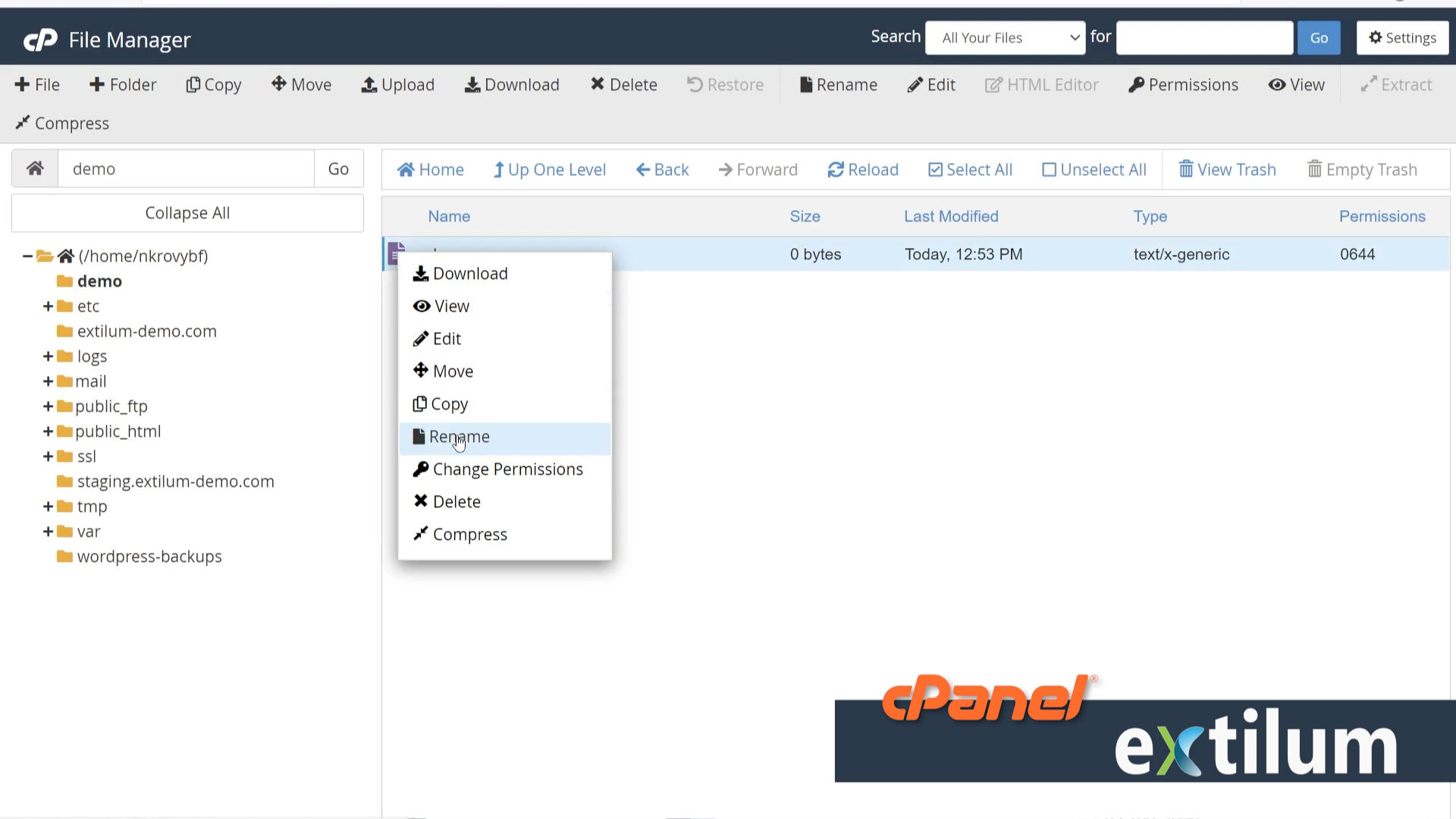Extilum cPanel - File Manager - Rename a File or a Folder
