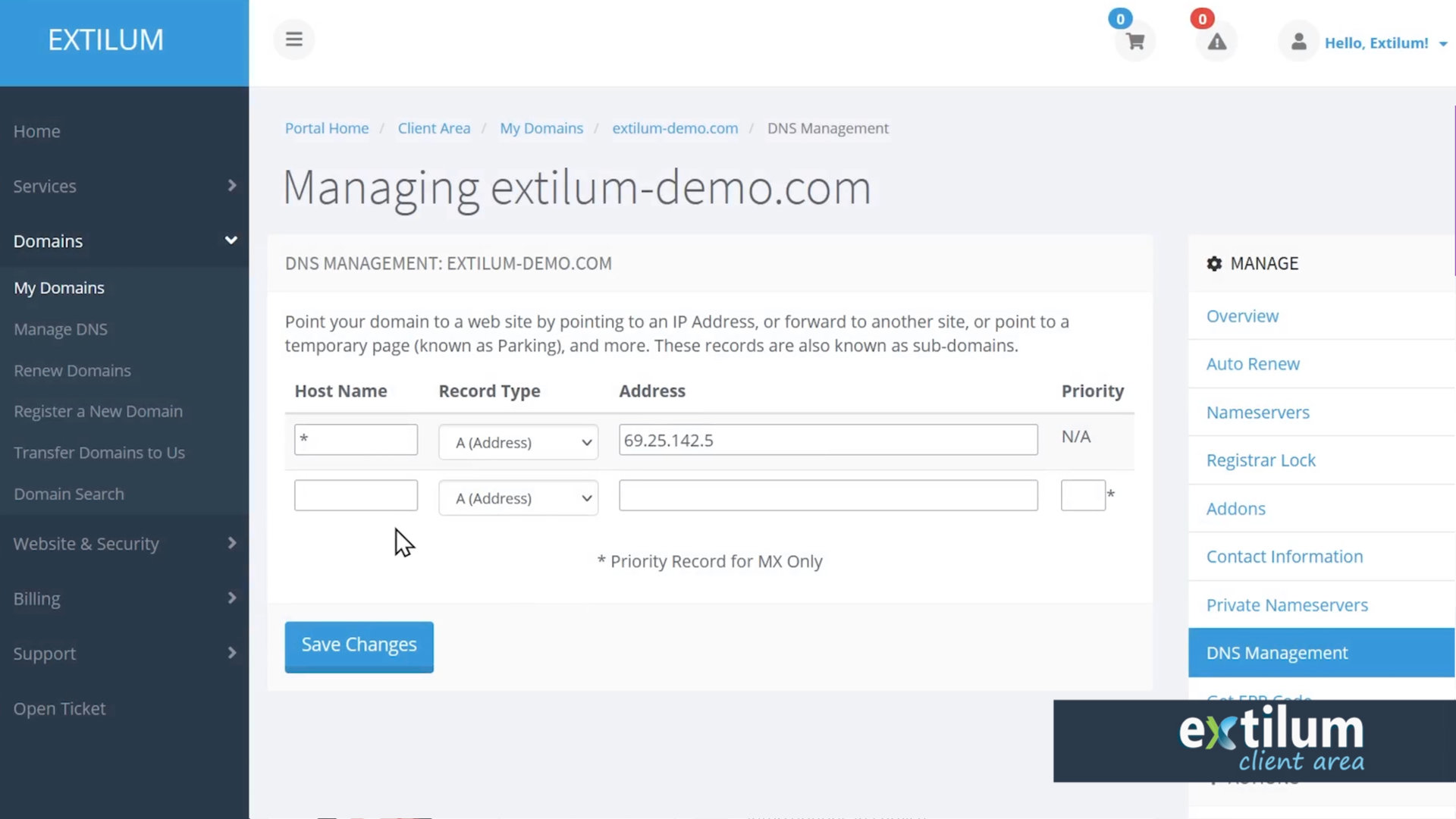 Extilum Client Area - DNS management