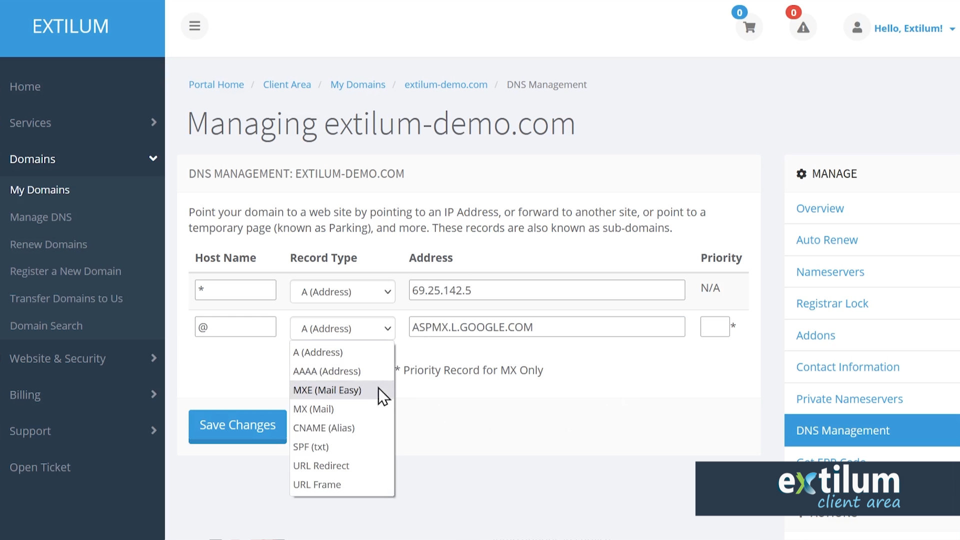 Extilum Client Area - DNS management