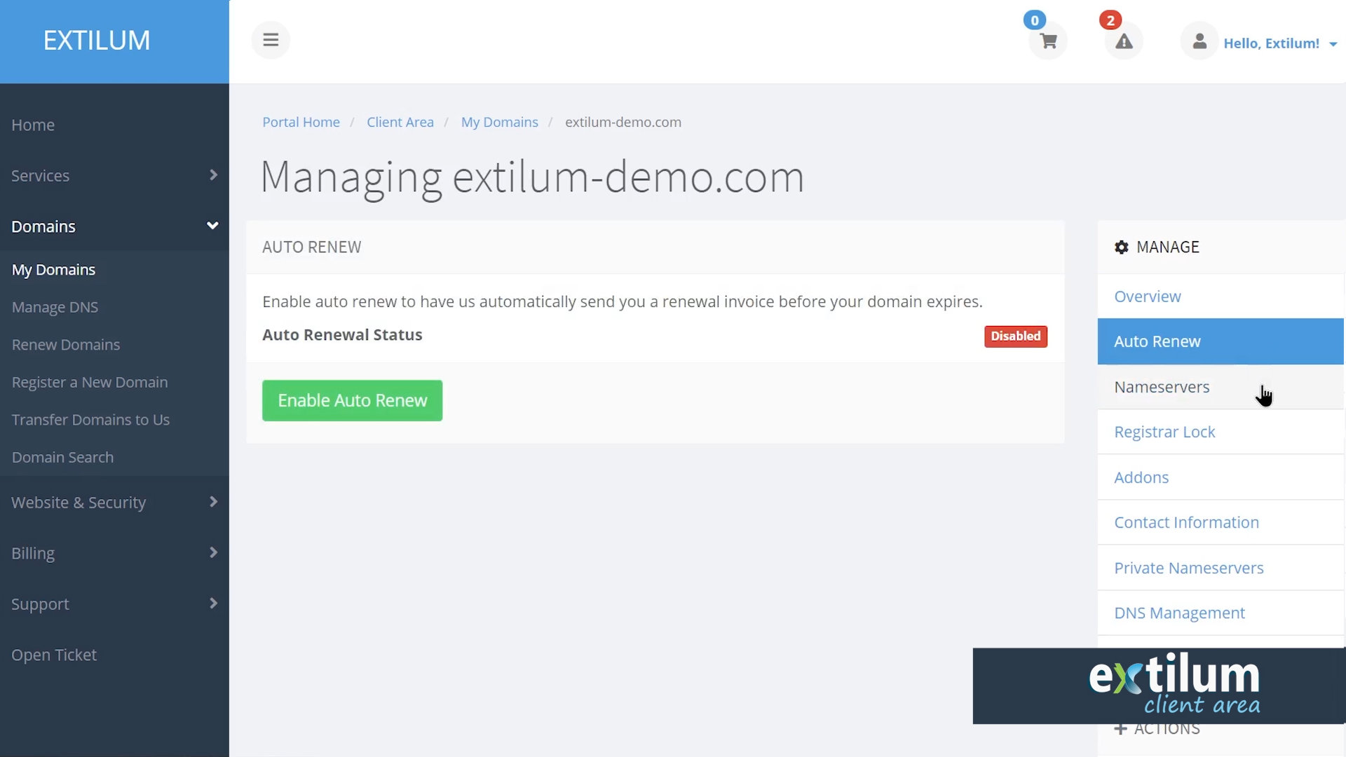 Extilum Client Area - Manage Domain