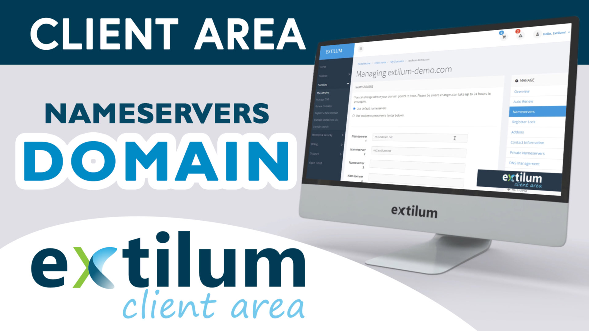 Extilum Client Area Domain Nameservers