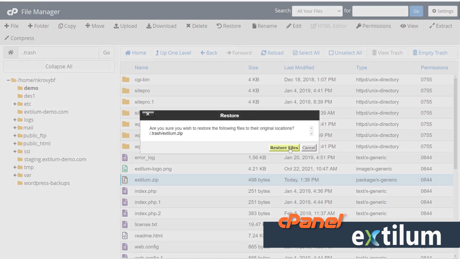 Extilum cPanel - File Manager - delete and restore