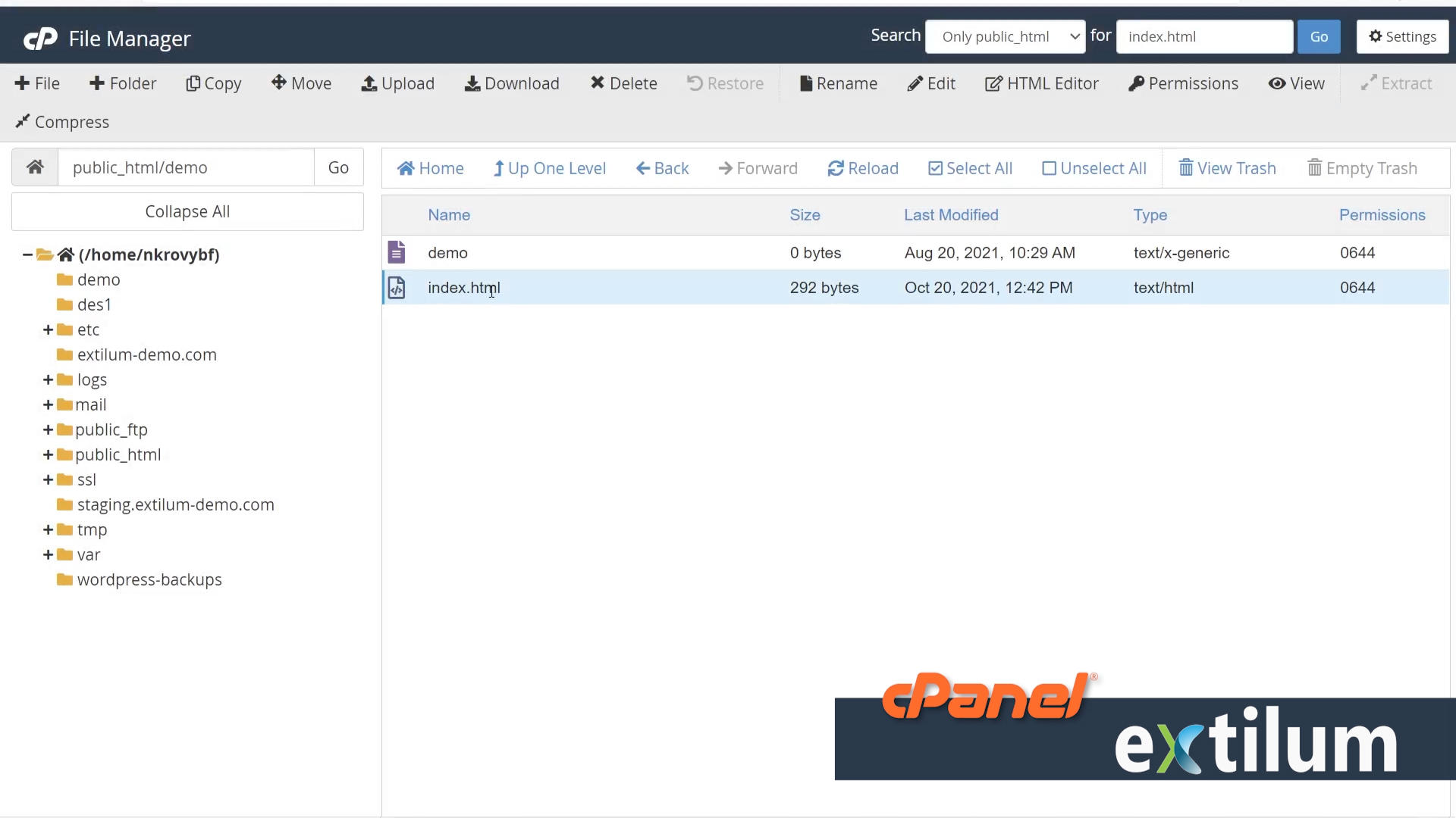 Extilum cPanel - File Manager - search