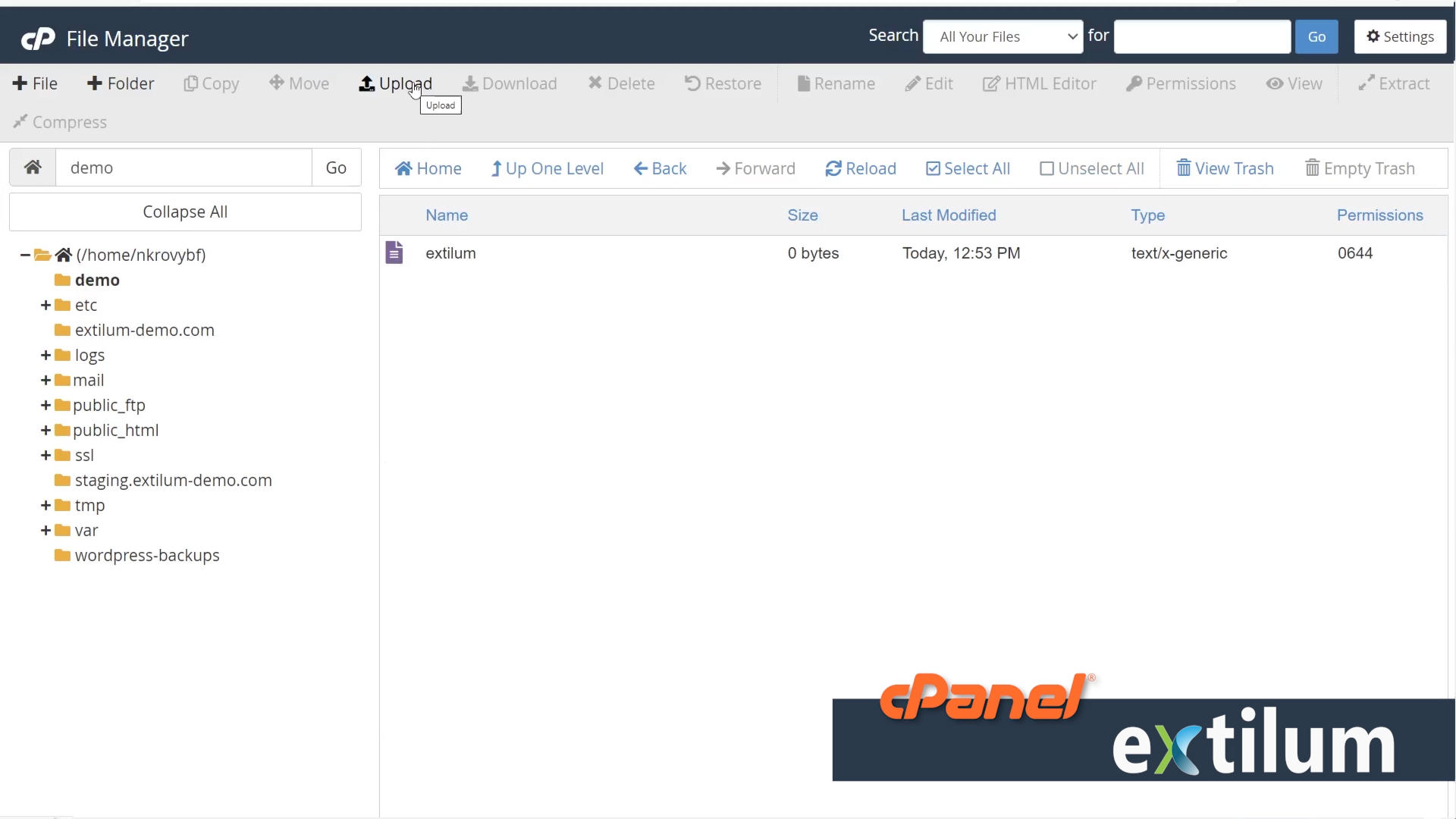 Extilum cPanel - File Manager - Upload and download