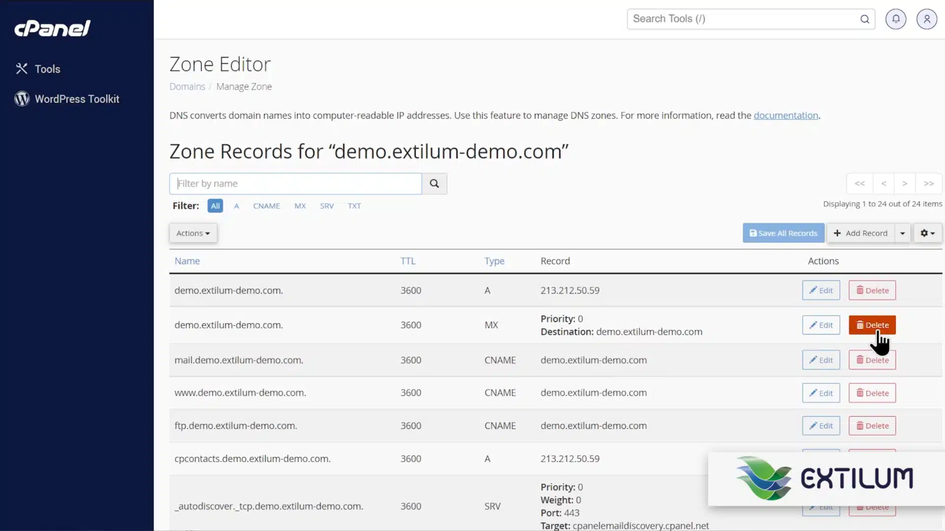 Set Domain's MX Records to a Remote Server in cPanel