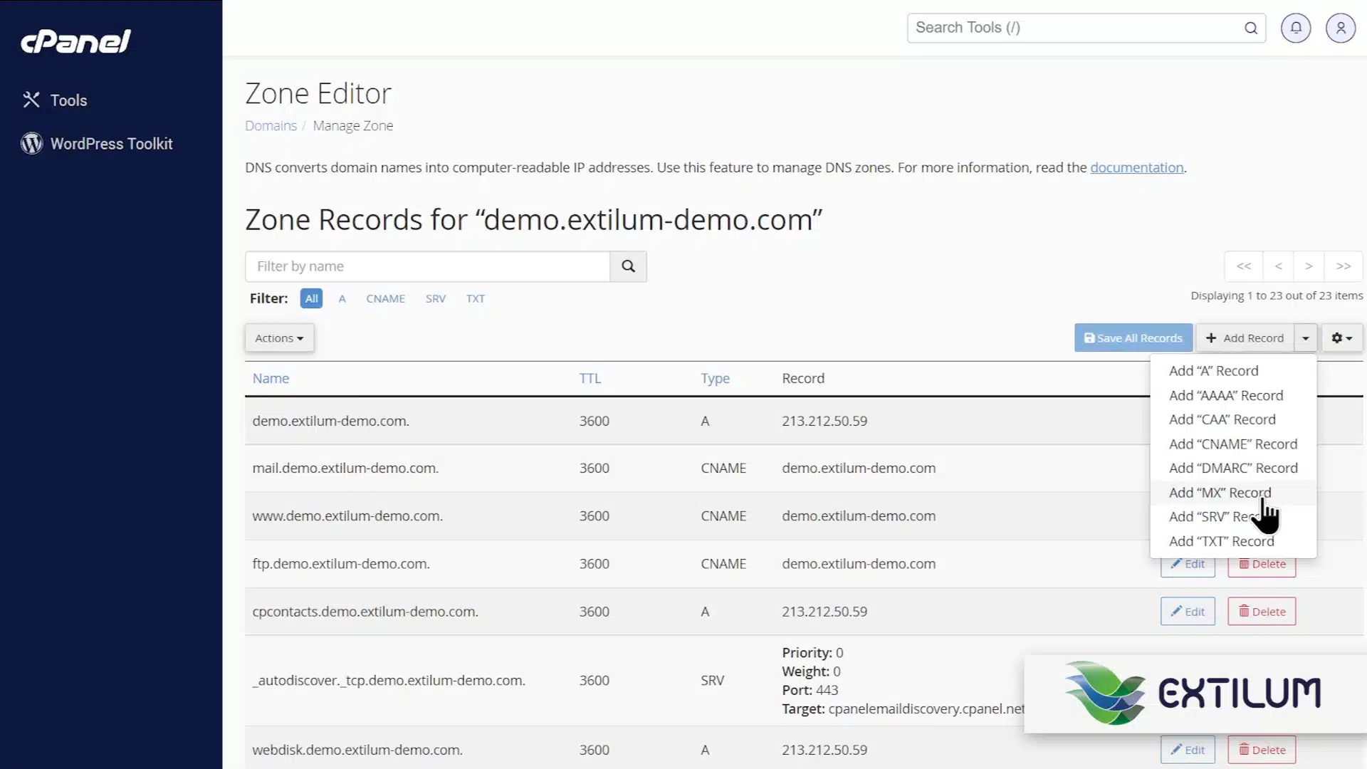 Set Domain's MX Records to a Remote Server in cPanel