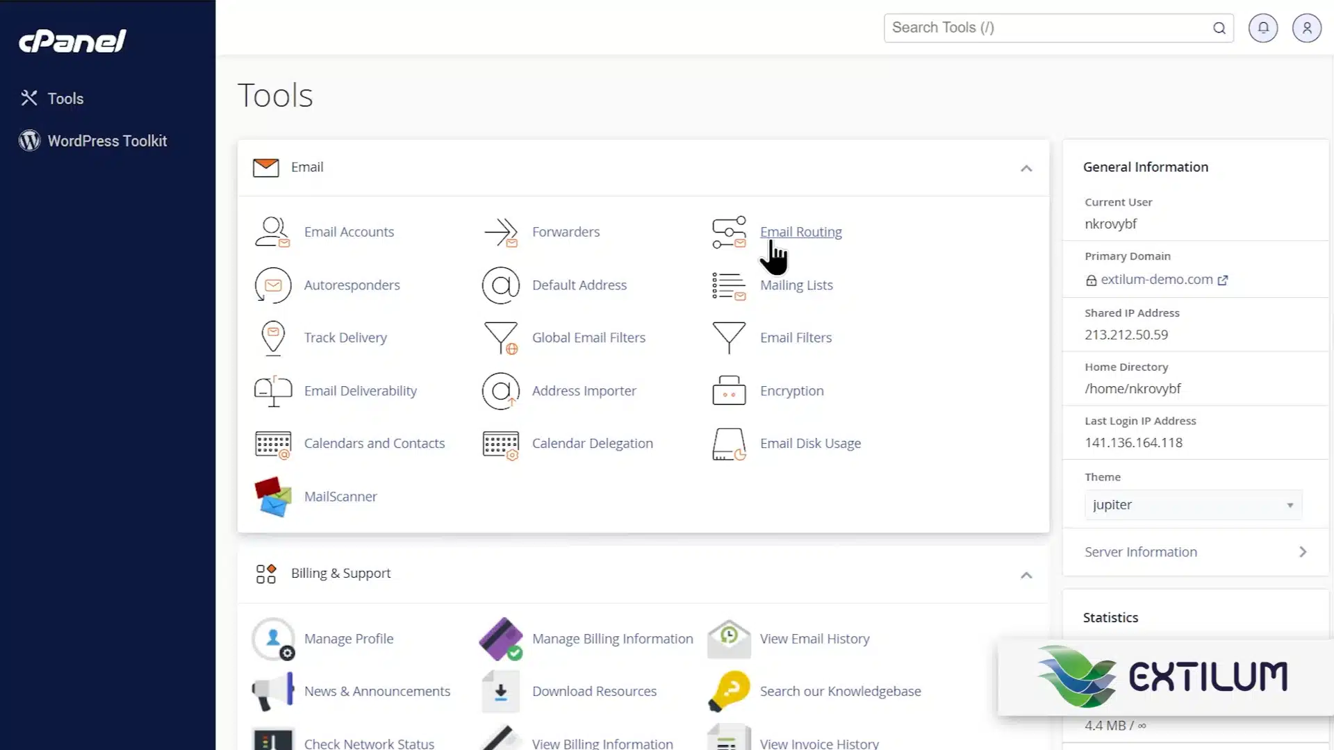 Set Domain's MX Records to a Remote Server in cPanel