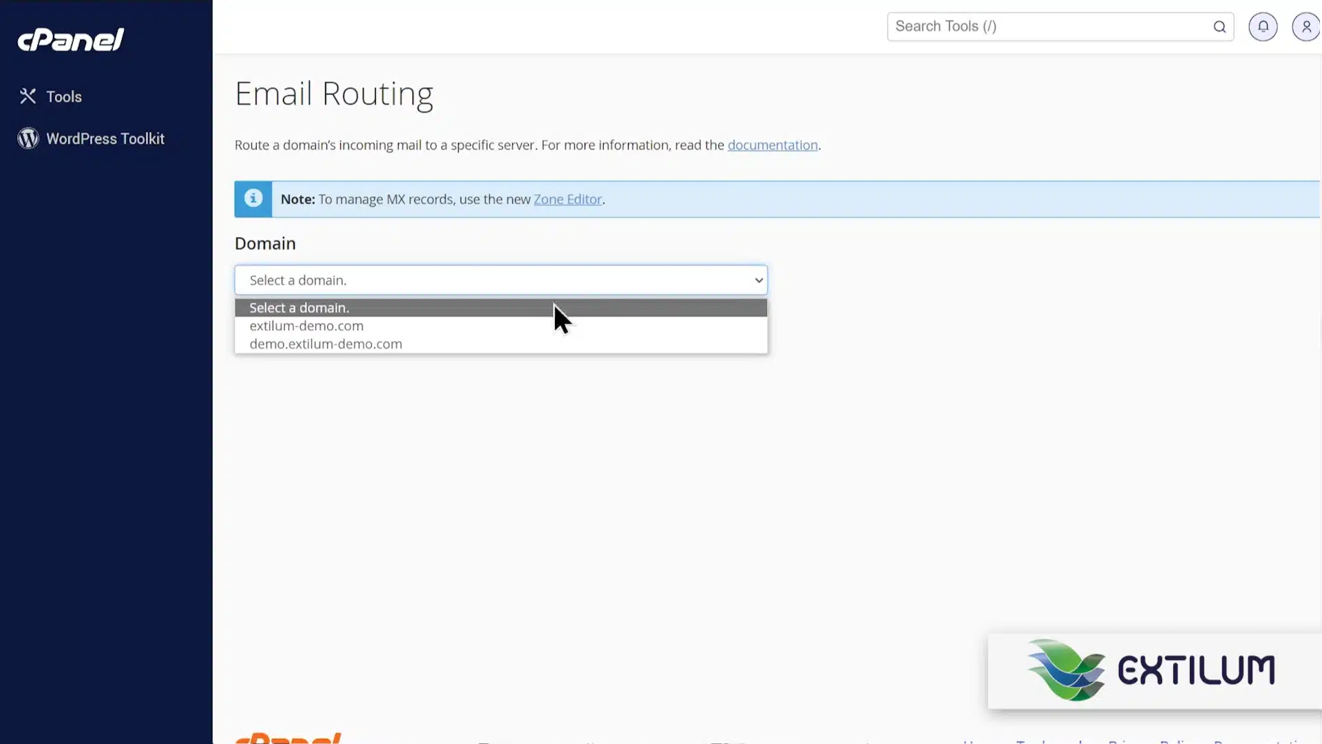 Set Domain's MX Records to a Remote Server in cPanel