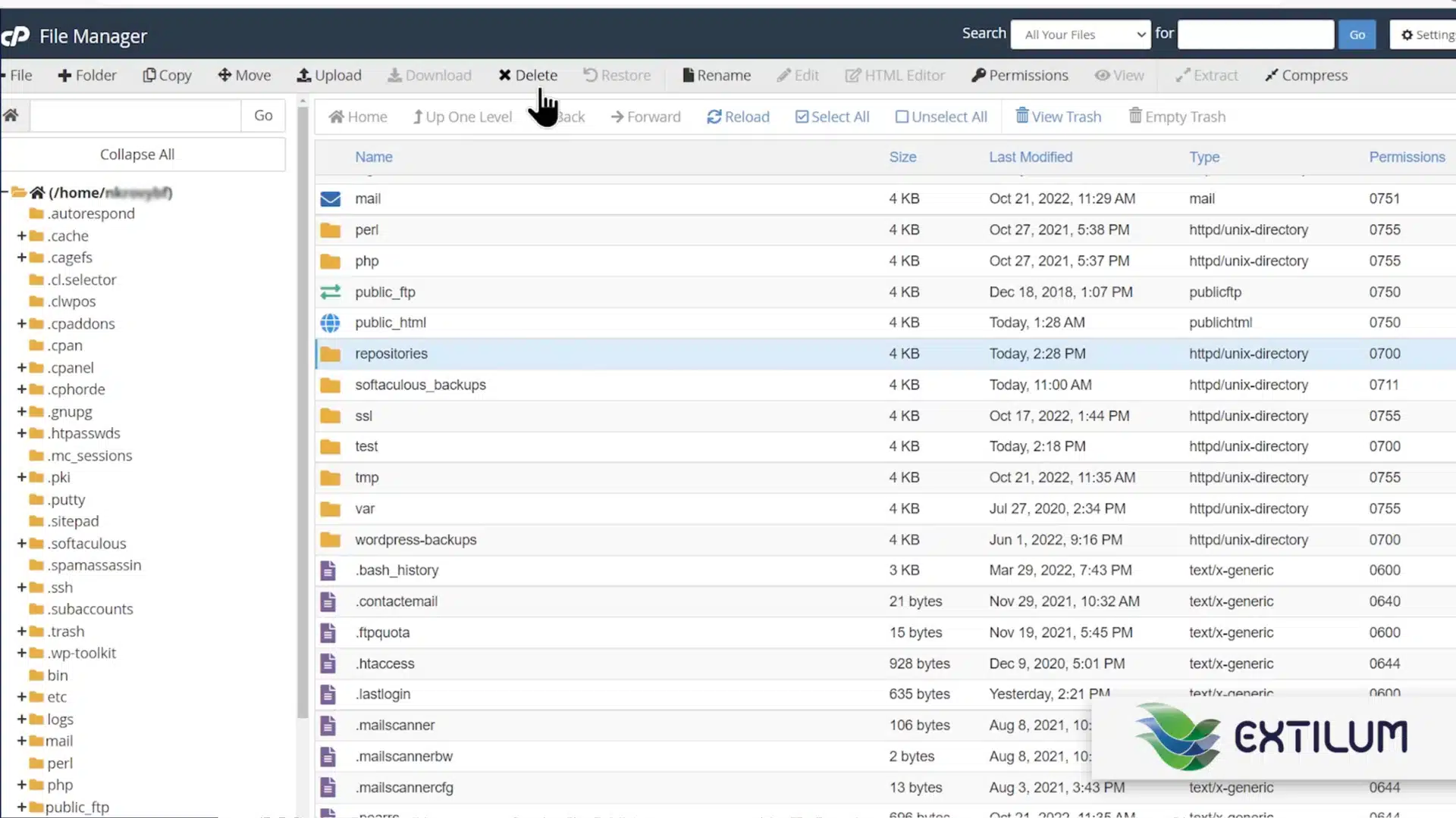 Extilum cPanel - Delete a Git Repository
