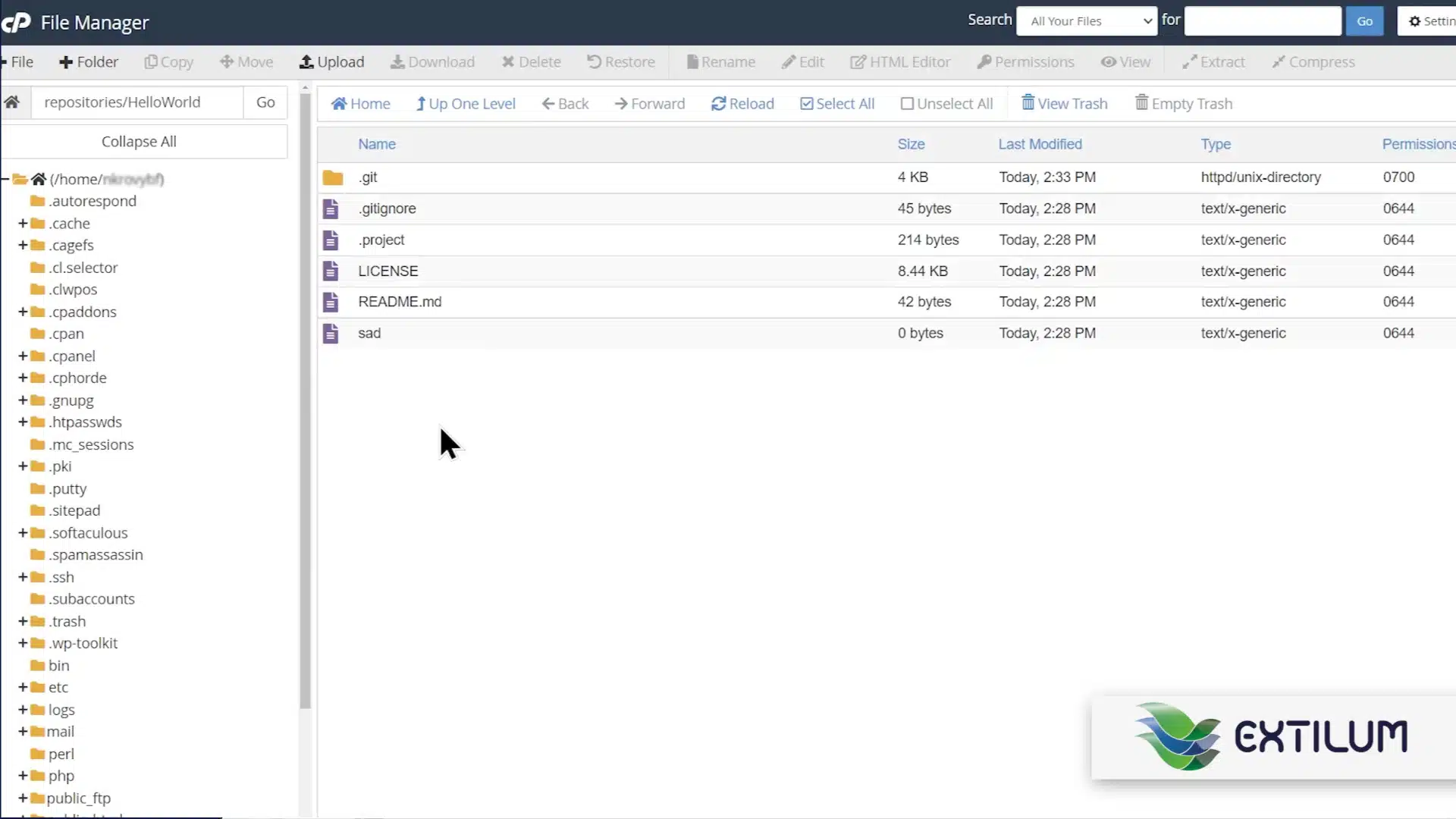 Extilum cPanel - Update or Deploy a Git Repository using cPanel